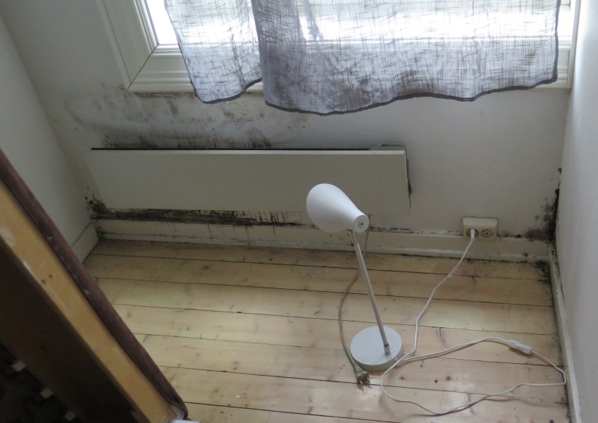 Muggsopp på en studenthybel forårsaket av kondens mellom seng og vegg