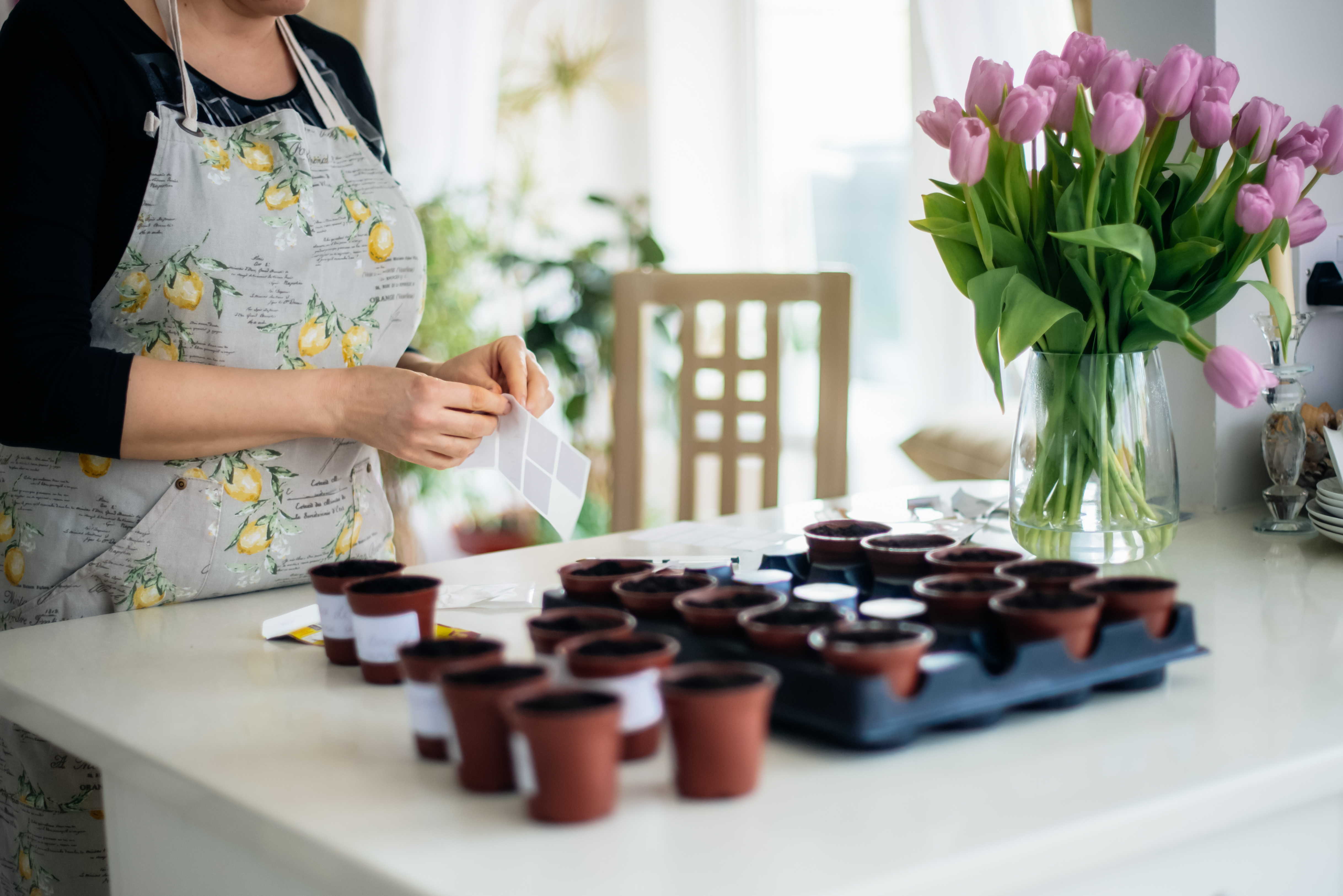 De smarte selvanningsboksene sørger for at jorden holder seg passe fuktig. Foto: Kari Gjertrud Dølgaard