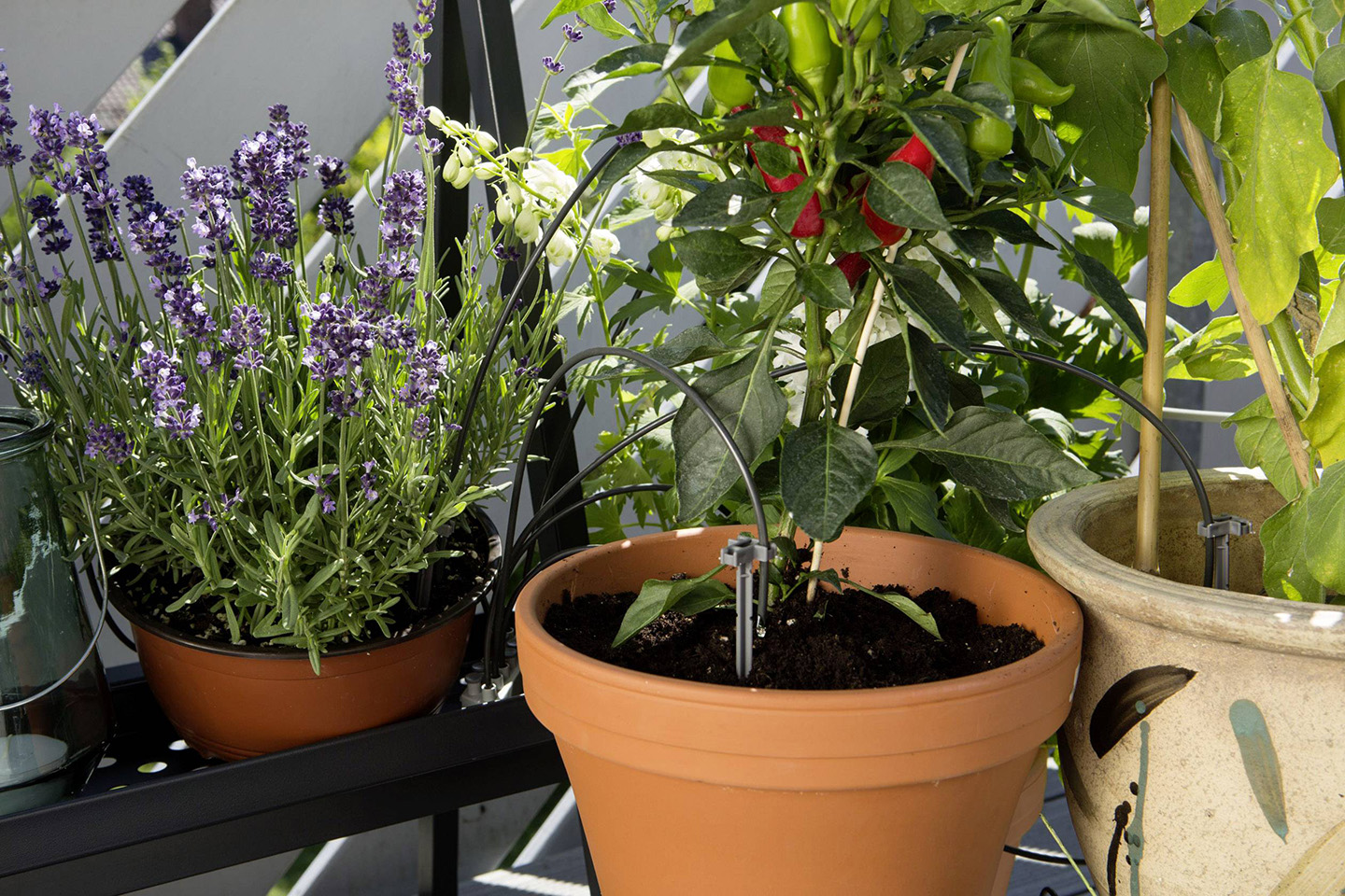 Med et selvvanningssystem kan du redde feriehagen