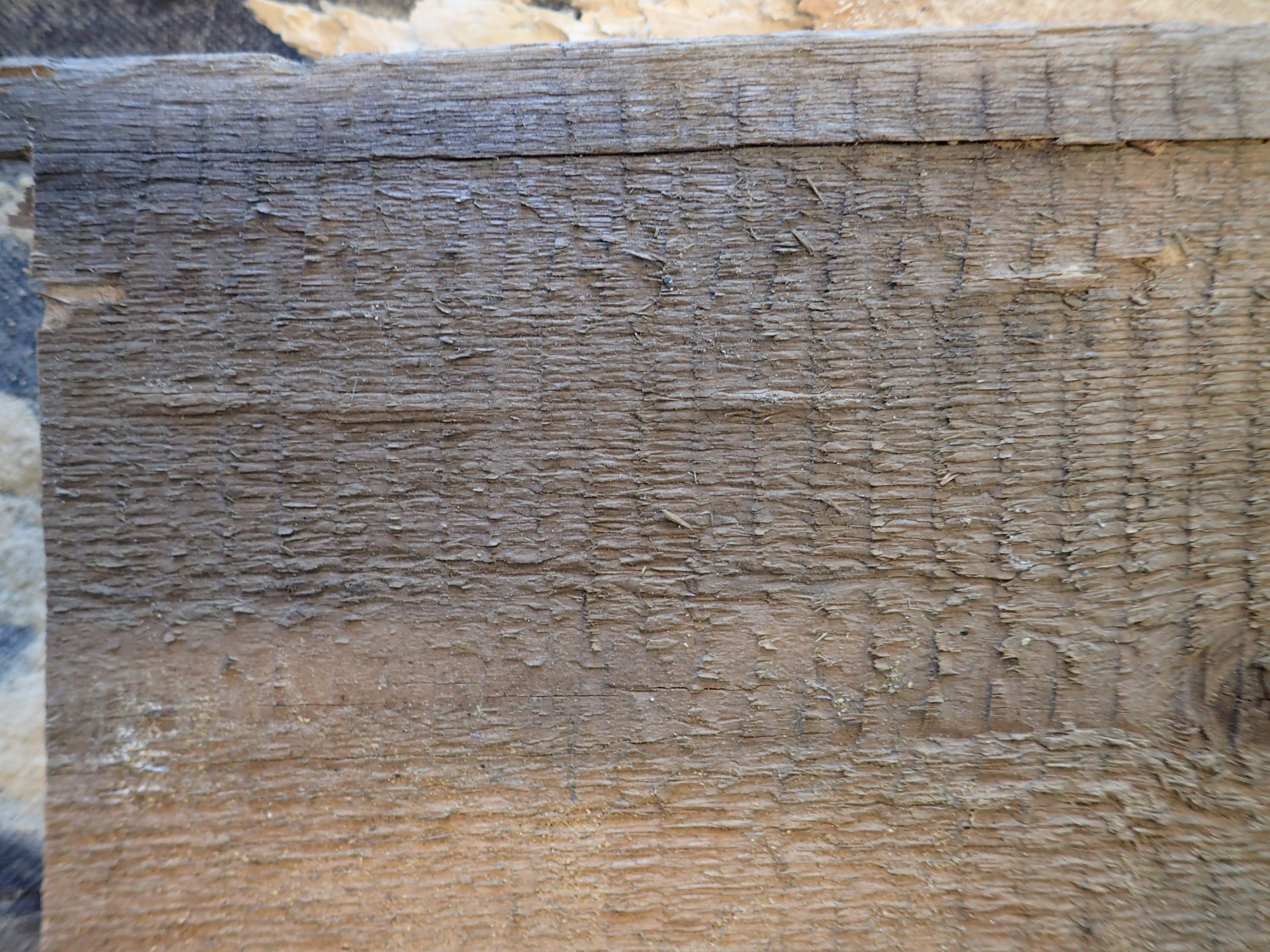 Larveganger av husbukk rett under treoverflaten. Foto: Mycoteam