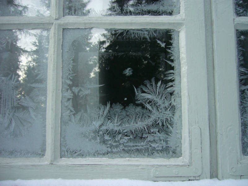 Vakre: Isroser er vakre, men er de på innsiden av ruta varsler de om dårlig ventilasjon.