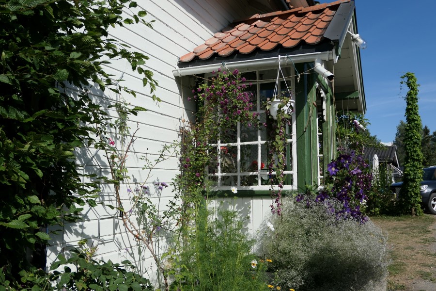 Kitte vinduer: Det er enkelt å kitte gamle vinduer