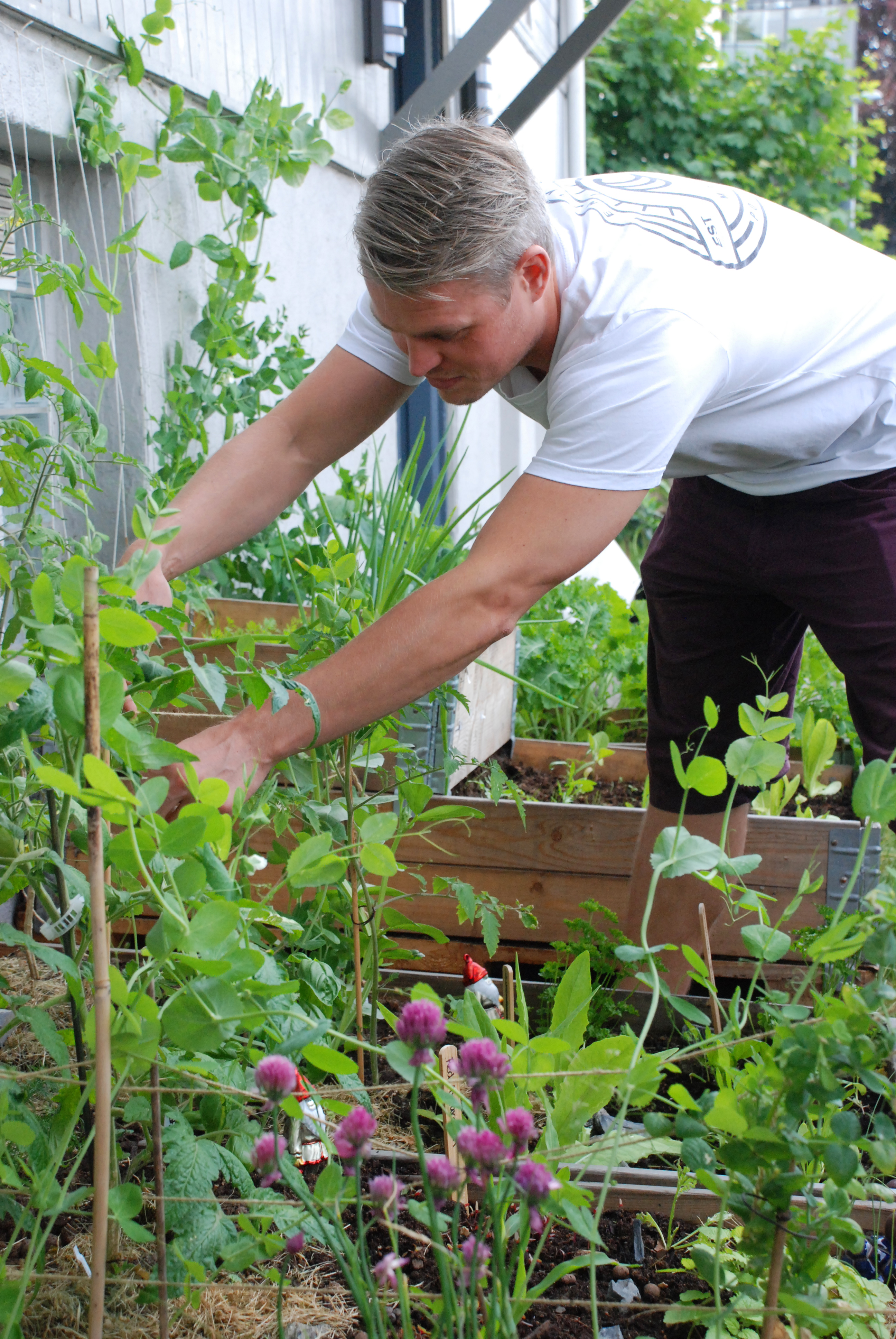 Utenfor den nye leilighet på Rodeløkka i Oslo kan Paul Killie nå holde på med noe av det han liker best – å dyrke planter.