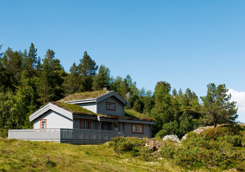 Torvtak: Sjekk først om taket er riktig dimensjonert før du legger torv.
