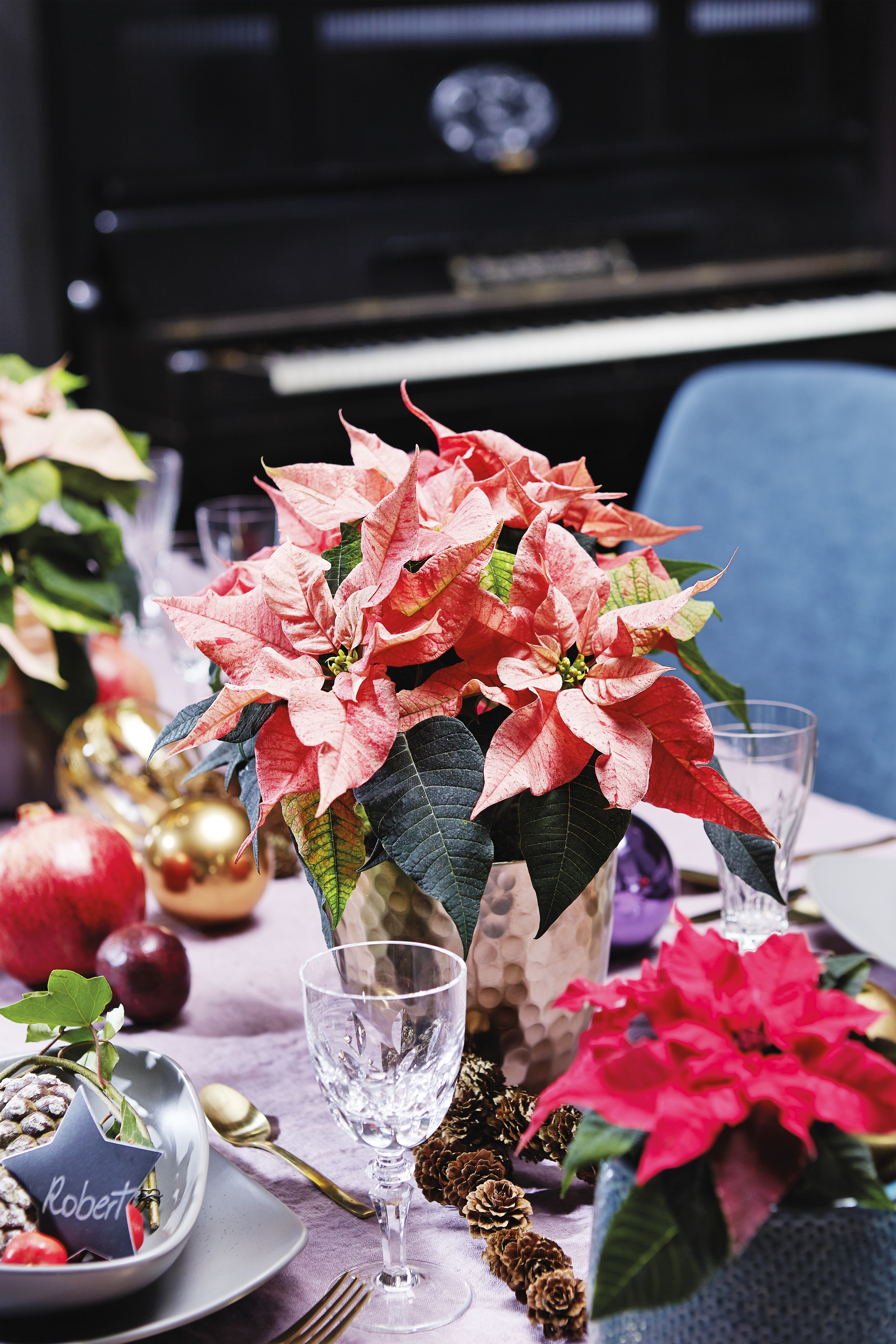 Tofarget julestjerne