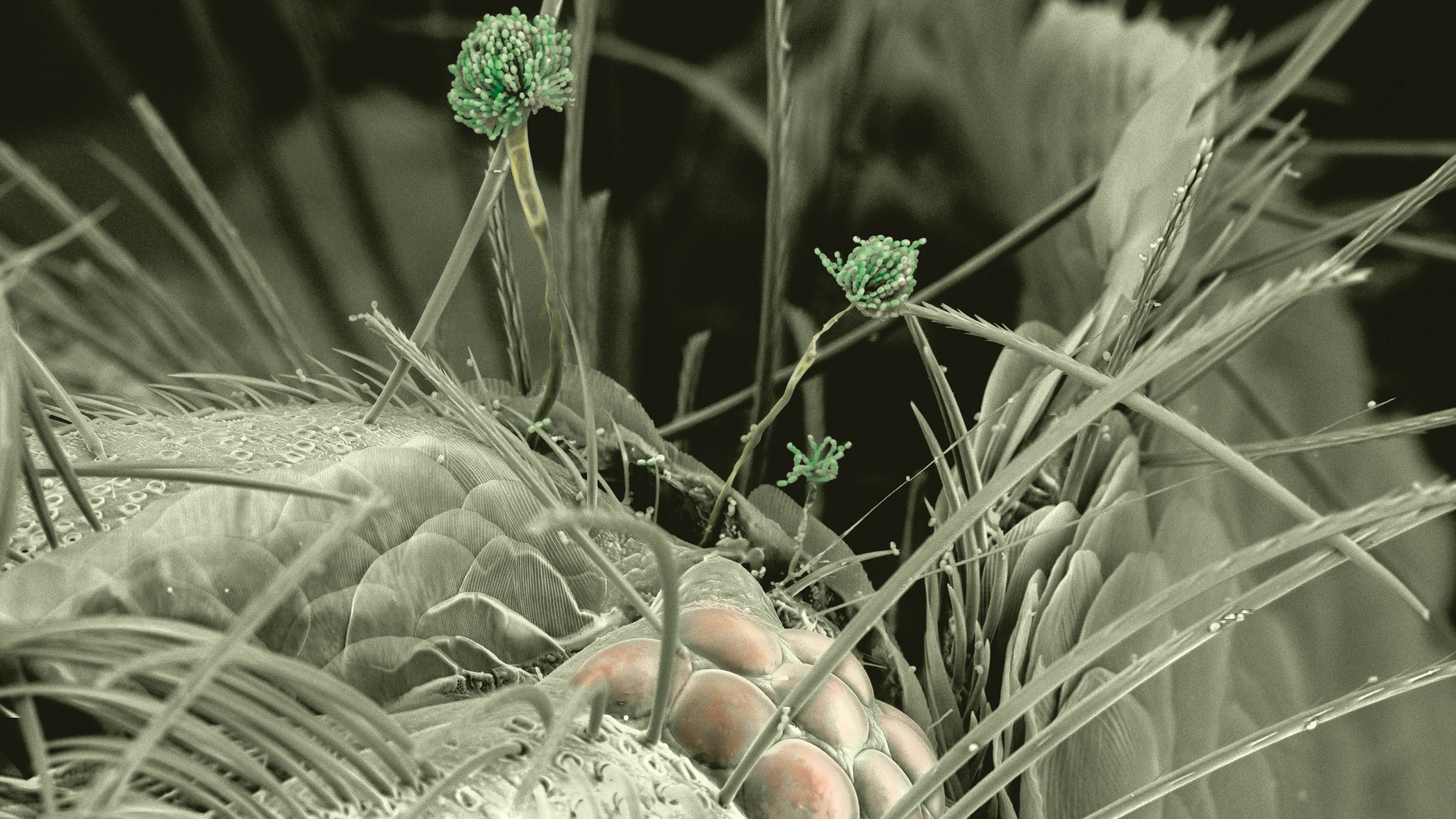 Dårlig inneklima kan gi deg helseplager.