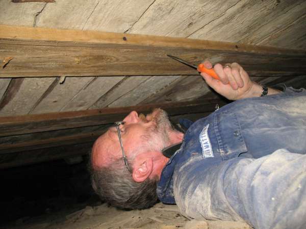 Mycoteam Kryperom Fukt Kjeller