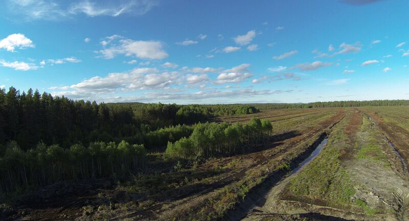 Ved å la myrene ligge urørt, bidrar man til en gedigen karbonfangst Foto: Ullensaker Venstre