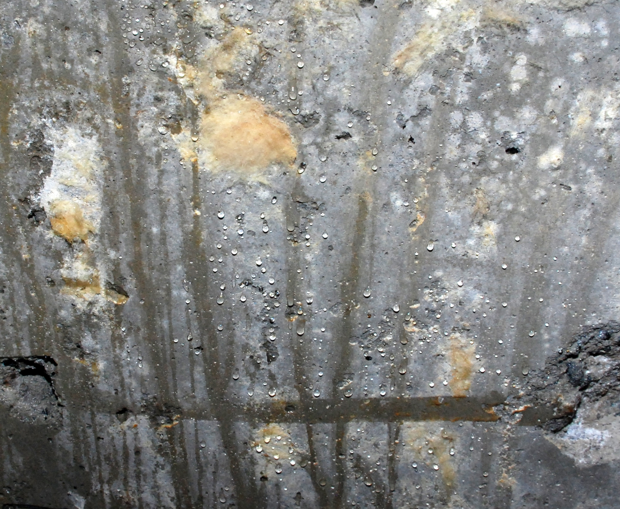 Fukt og kondens utvikler seg. Foto: Nina Granlund S&aelig;ther