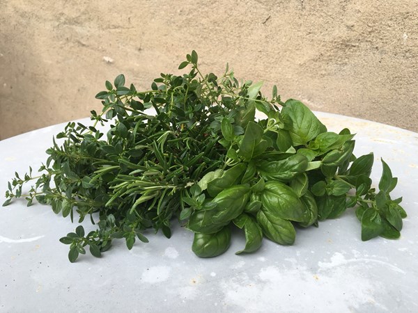 Plukk regelmessig buketter med urter gjennom sesongen, så kan du nyte av godsakene også til høsten og vinteren. Foto: Kari Gjertrud Dølgaard