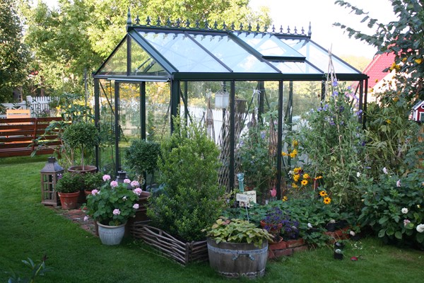 DRØMMEN: Hageentusiast Linda Andersen realiserte drivhusdrømmen i 2008. Foto: Linda Andersen