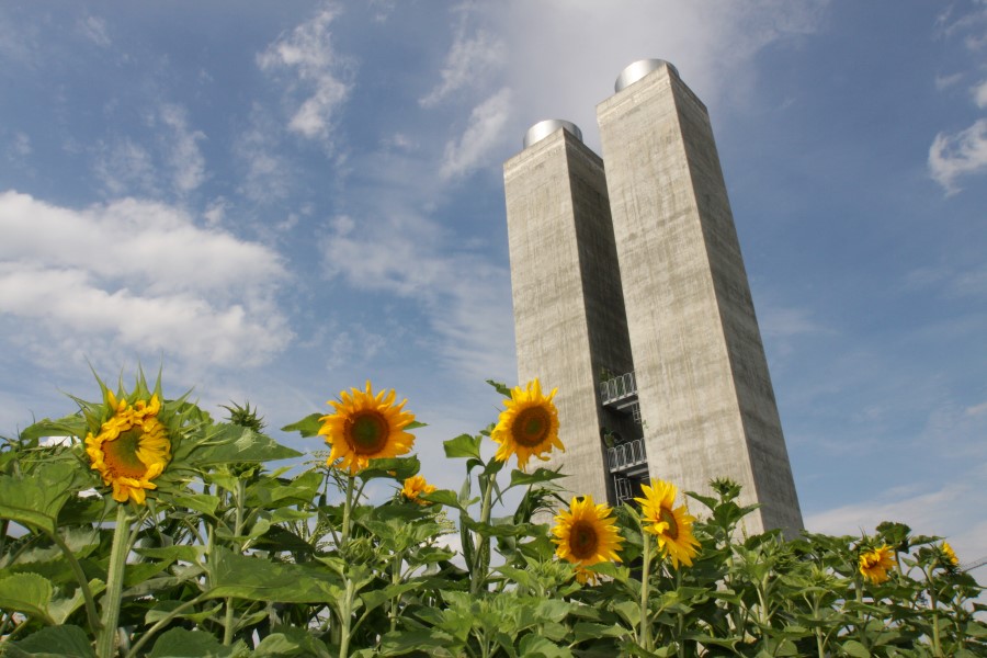 Dyrke maten sin selv kan man også gjøre om man bor i byen