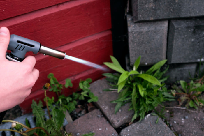 Foto: Roar Grønstad / KLP