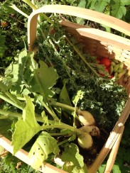 En kurv full av godsaker. Foto: Kaja Marie Lereng Kvernbakken