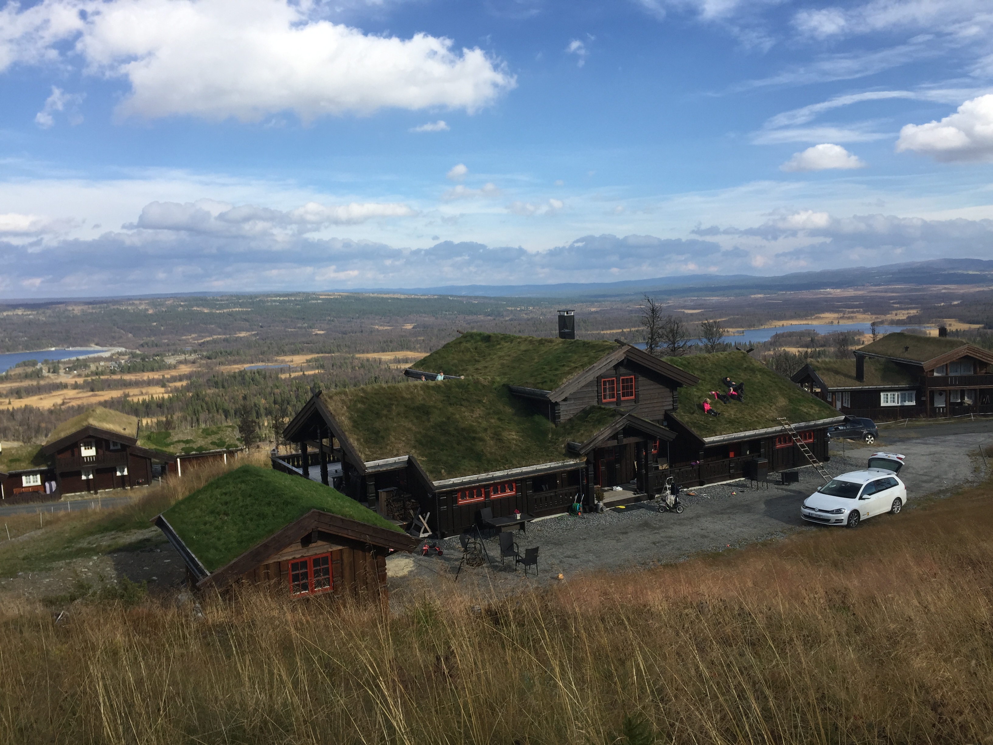 TORVTAK: Steller du pent med torvtaket vil det vare i mange år. Foto: Dag Erik Kongslie
