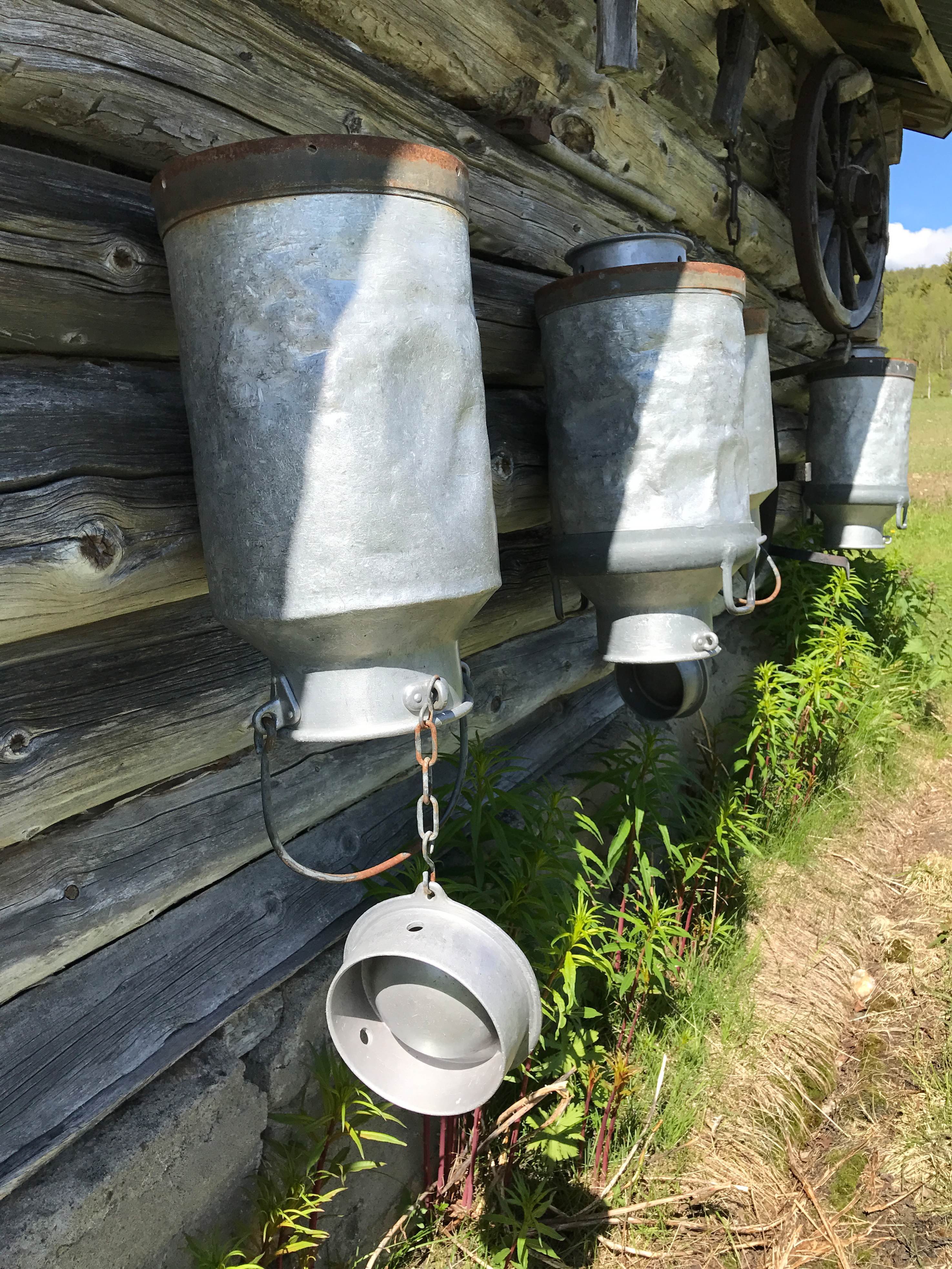 Melkespann henger til tørk på veggen