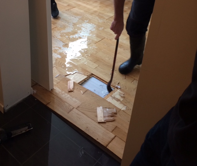 INN I KJELLEREN: N&aring;r vannet ikke finner andre veier, kommer det inn i kjelleren. Foto: Cecilie Ebbesen &Aring;serud. 