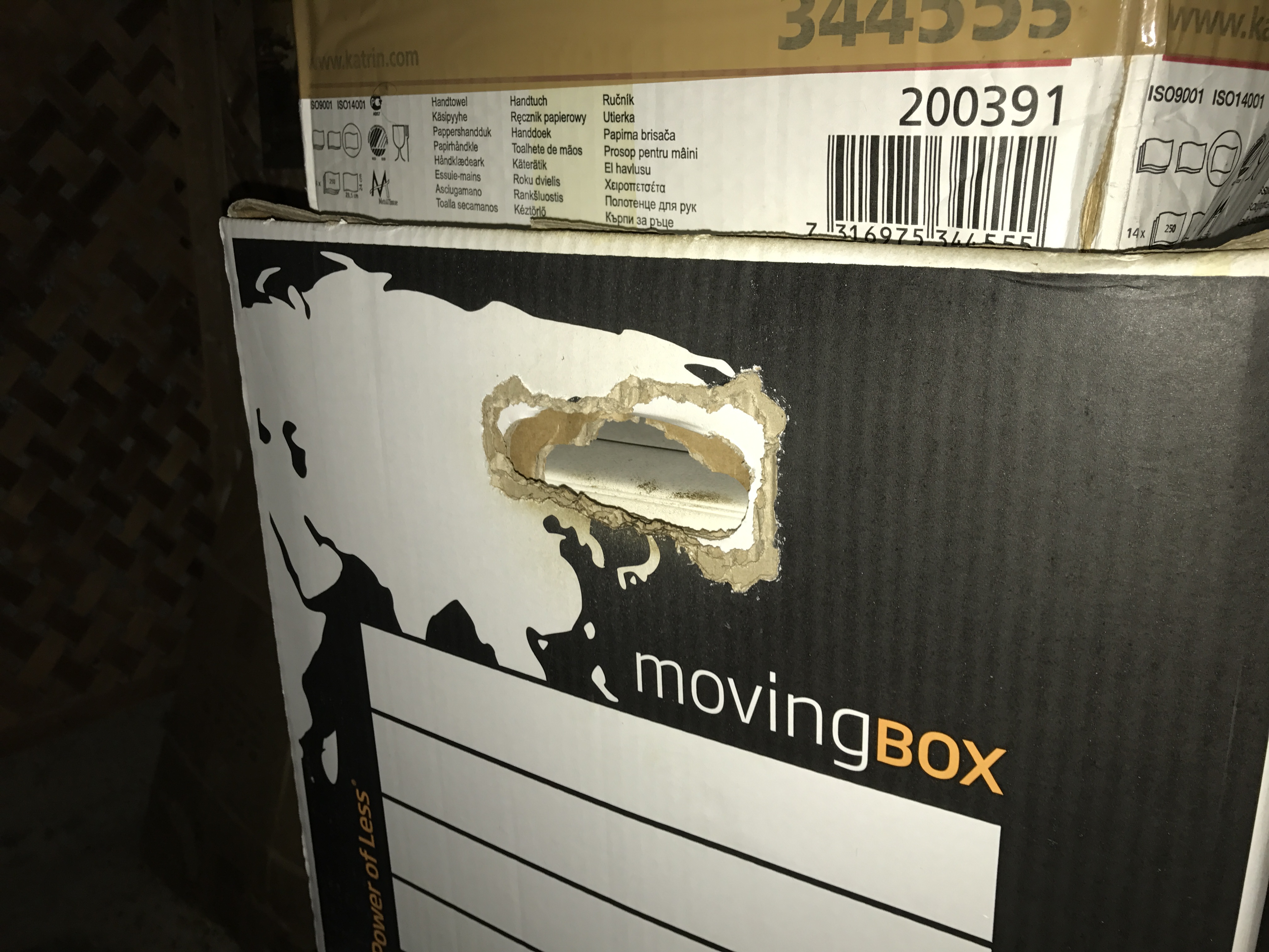 Her har musene spist seg inn i en flyttekasse.