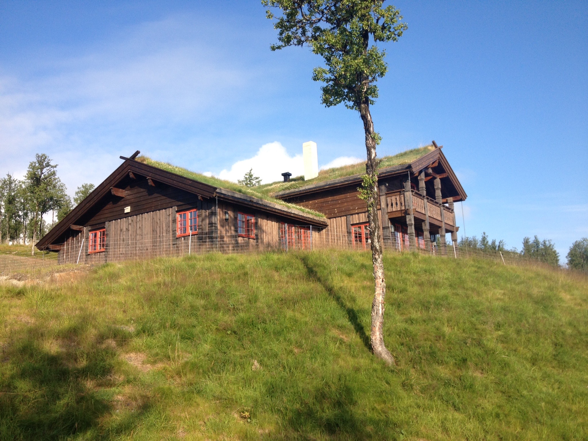 REGLER: Reguleringsplaner for hyttefelt kan sprike voldsomt fra sted til sted. Foto: Dag Erik Kongslie